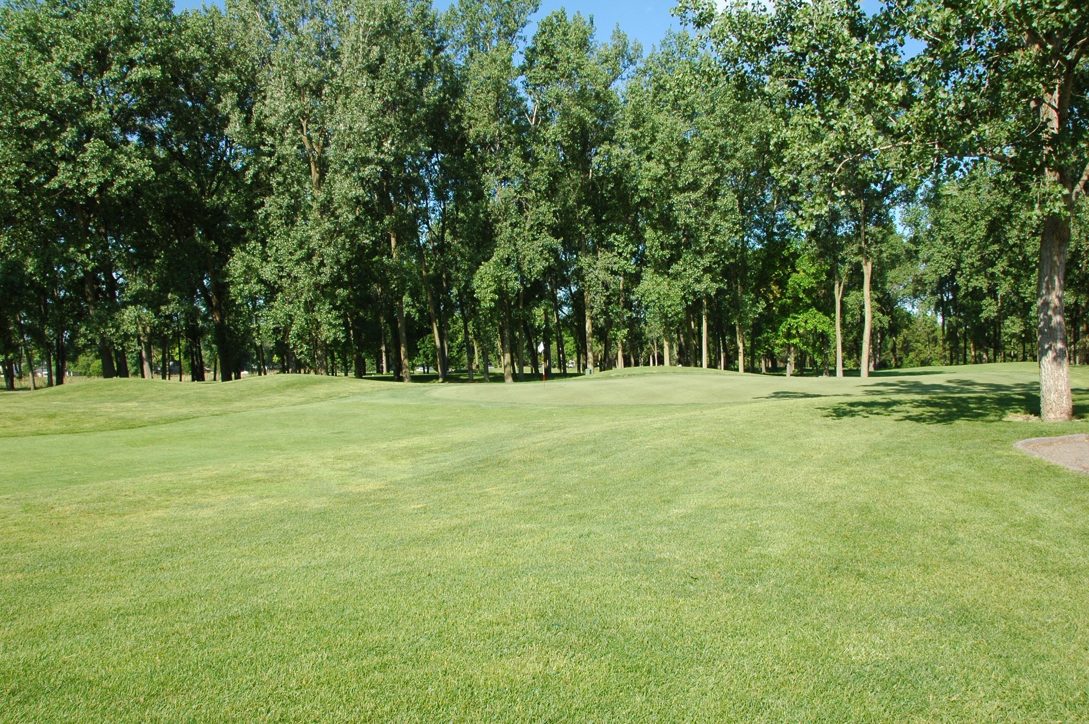 A view of the beautiful scenery of the Taylor Meadows Golf Course.